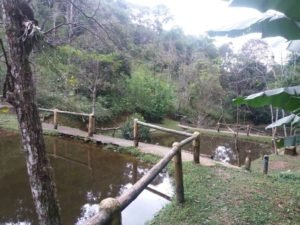 Clínica de Recuperação em São Lourenço da Serra SP